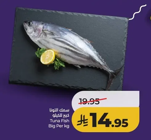 Tuna Fish