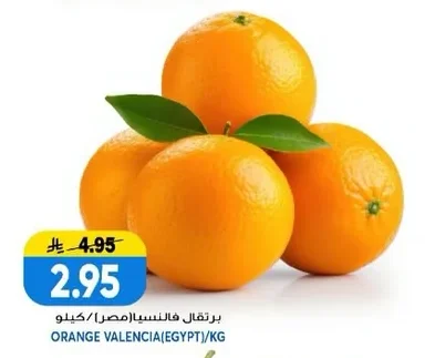 برتقال فالنسيا(مصر)/كيلو