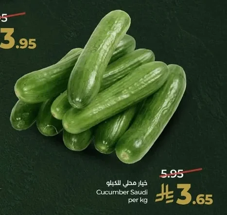 Cucumber Saudi