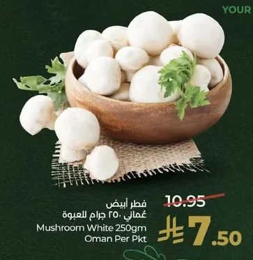 Mushroom White Oman Per Pkt