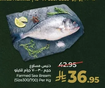 Farmed Sea Bream (Size300/700)