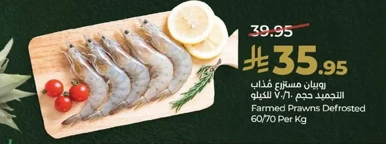 روبيان مستزرع مذاب التجميد حجم ٧٠/٦٠