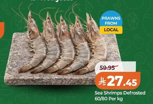 Sea Shrimps Defrosted