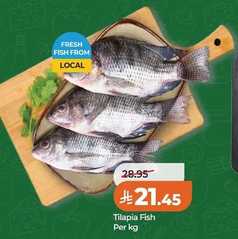 Tilapia Fish