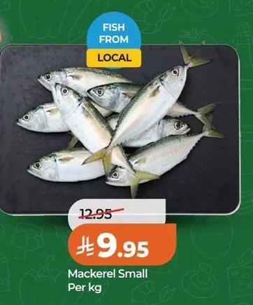 Mackerel Small