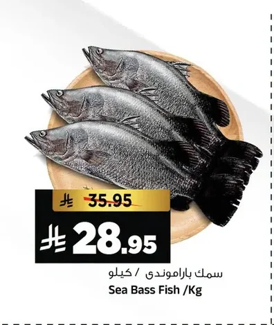 Sea Bass Fish
