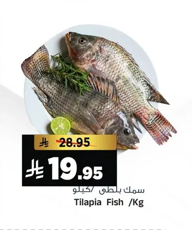 Tilapia Fish