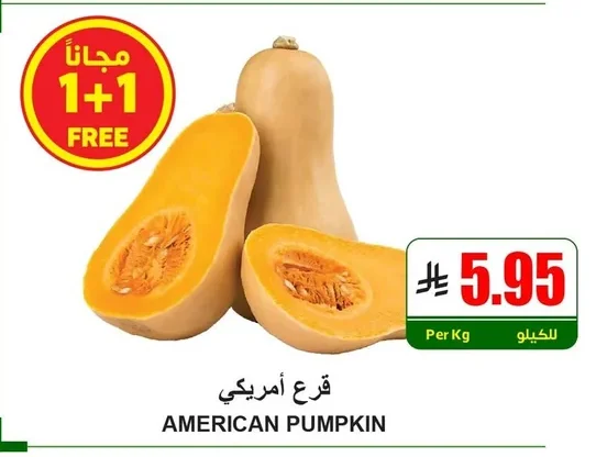 AMERICAN PUMPKIN