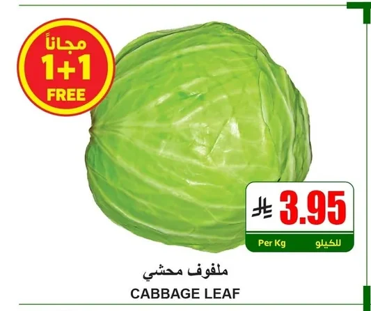 CABBAGE LEAF