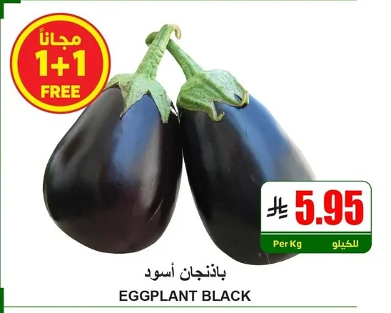 EGGPLANT BLACK