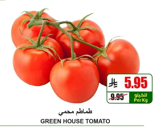 GREEN HOUSE TOMATO