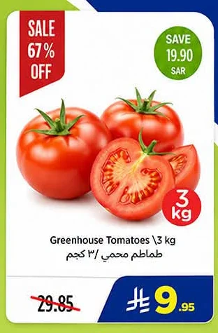 طماطم محمي