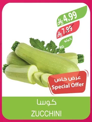 ZUCCHINI
