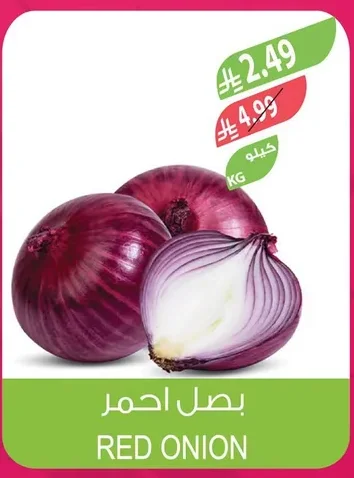 RED ONION