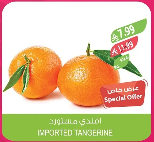 افندي مستورد