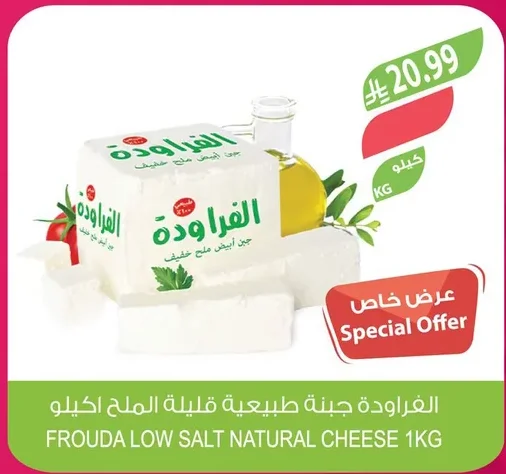 FROUDA NATURAL LOW SALT CHEESE