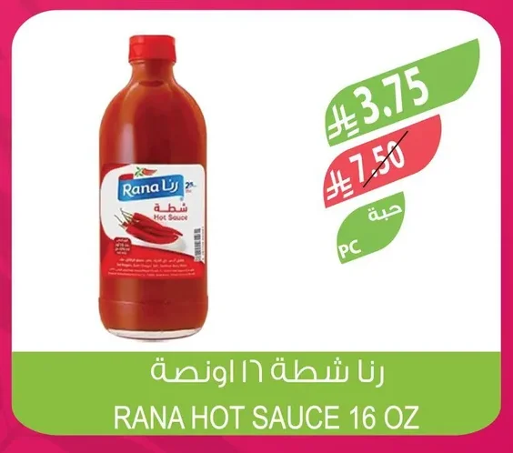 رنا شطة
