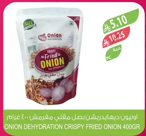 Crispy Fried Onion