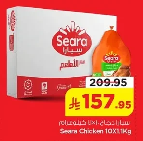 سيارا دجاج ١٠ × ١.١ كيلوغرام