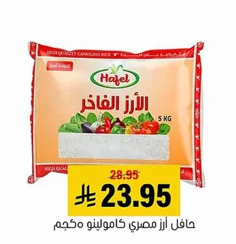 حافل أرز مصري كامولينو