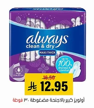 أولويز كبير بالاجنحة