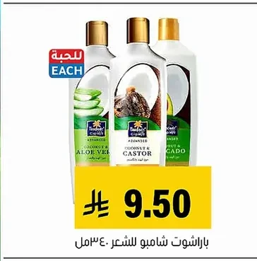 Hair Shampoo