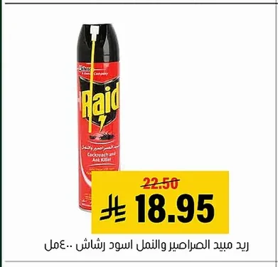 Raid Black Cockroach and Ant Killer