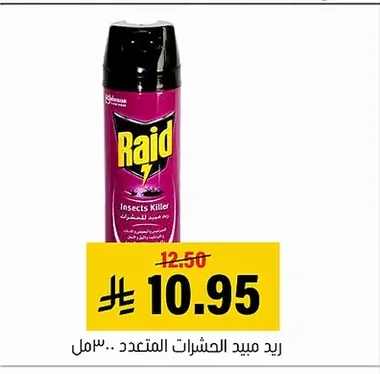 Raid Multi-Insect Killer