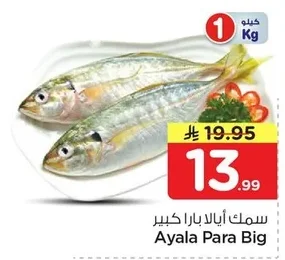 Ayala Para Big