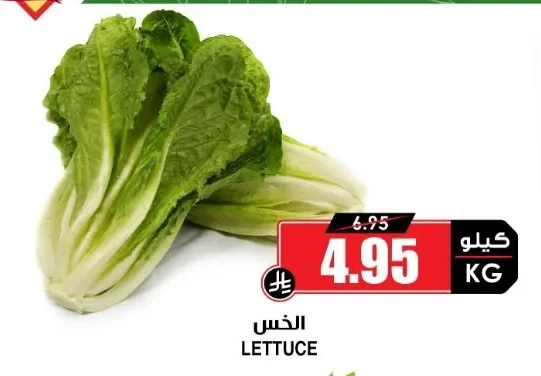LETTUCE
