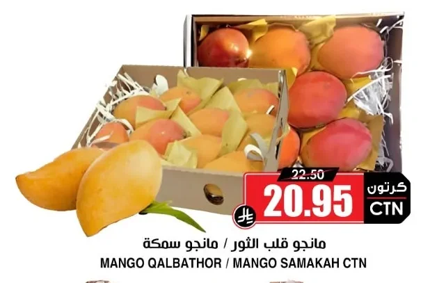 MANGO QALBATHOR / MANGO SAMAKAH CTN