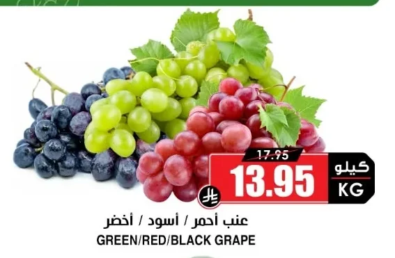 GREEN/RED/BLACK GRAPE