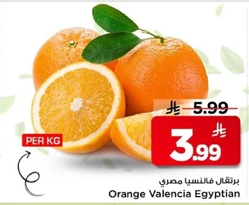 Orange Valencia Egyptian