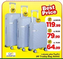 PP Trolley Bag Asstd.