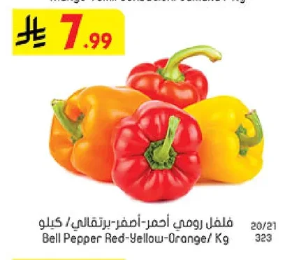 Bell Pepper Red-Yellow-Orange