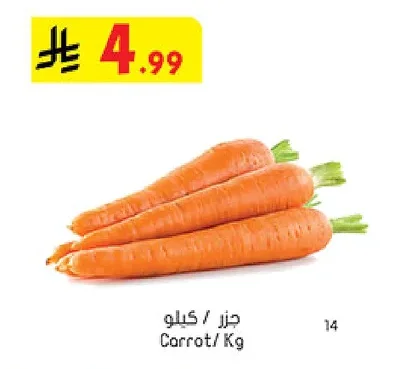 Carrot