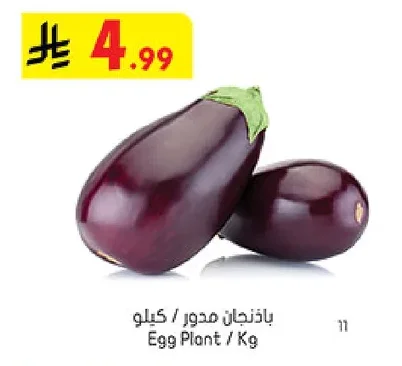 Egg Plant