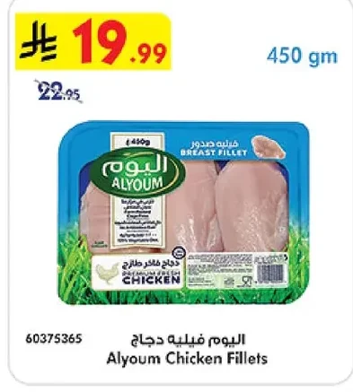 اليوم فيليه دجاج