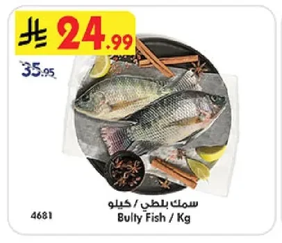 Bulty Fish