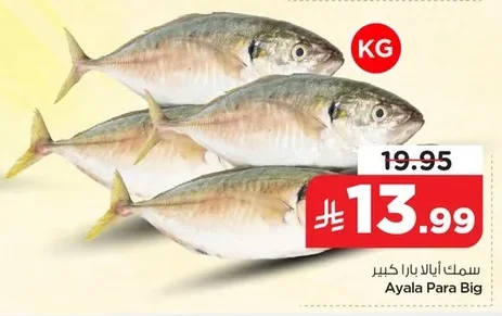 Ayala Para Big