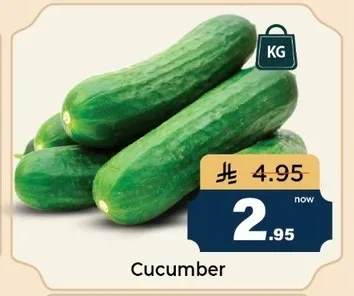 Cucumber