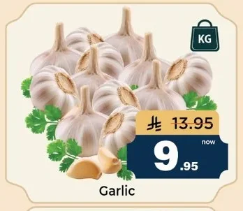 Garlic