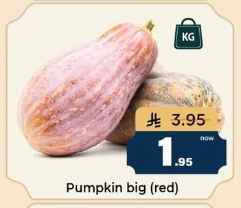 Pumpkin big (red)