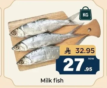 Milk fish