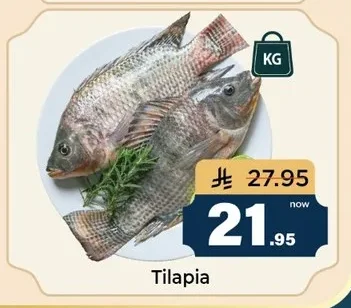 Tilapia