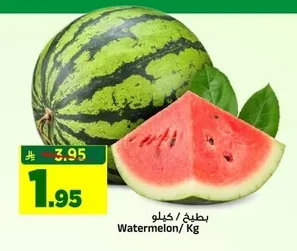 بطيخ