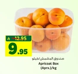 صندوق المشمش