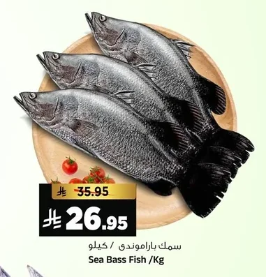Sea Bass Fish