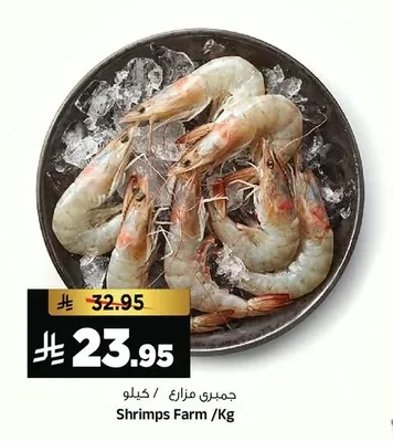 Shrimps Farm