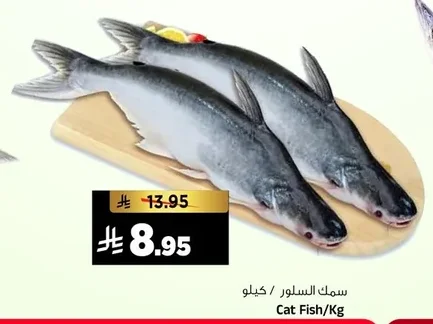 سمك السلور